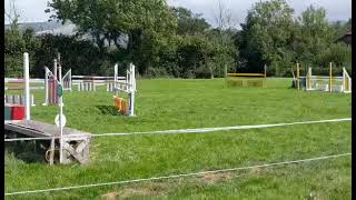 Show jumping in Dyfnog stud [upl. by Nehtan]