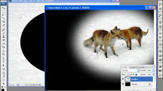 Tutorial Photoshop CS3  come ritagliare una foto con dissolvenza [upl. by Goldie423]