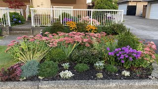 Garden Tour Boulevard Flower Bed 4K  September 1 2024 [upl. by Daryle840]