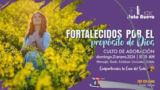 Discípulos de Cristo Hato Nuevo Live Stream [upl. by Dahcir50]