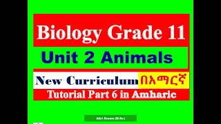 New Curriculum Biology Grade 11 Unit 2 Animals Tutorial Part 6 in Amharic [upl. by Emia393]