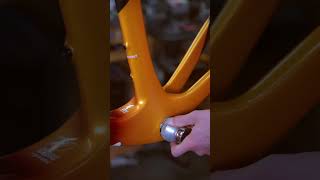 Pinarello Dogma X 🔧 Build Video [upl. by Nyrok]