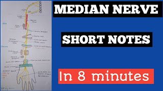 MEDIAN NERVE  How to draw median nerve short notes [upl. by Eniawd]