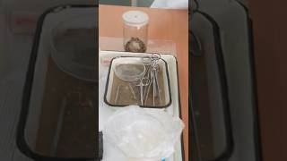 Frog 🐸 experiment 🧫👀 frog ytshorts mbbsstudent studentlife vlog experiment ytshort yt [upl. by Chiquia729]