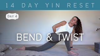 30 Minute Yin Yoga for Torso and Core  Twists and Side Bends  Devi Daly Yoga [upl. by Hoffert670]