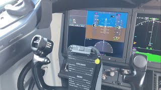 Special WestJet Boeing 737 MAX 8  Cockpit View [upl. by Milda]