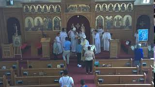 Divine Coptic Liturgy 9724 [upl. by Auburn202]