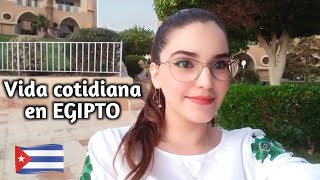 Cubana viviendo en EgiptoCocinamos visitas problemas con el agua Hurghada daylenenEgipto vlogs [upl. by Aixela923]