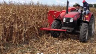 FT Corn Combine Harvester JM350 manual bagging [upl. by Enihsnus]