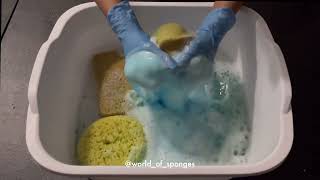 Soapy water sponge squeezes asmr [upl. by Sears]