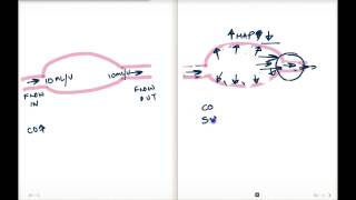 Mean Arterial Pressure Vz Total Peripheral Resistance [upl. by Annayehc]