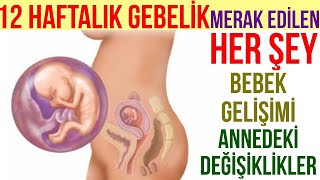 12 Haftalık Gebelik 2023 [upl. by Christophe]