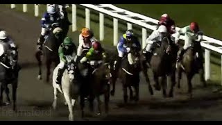 Chelmsford races replay Feb 09 2024  Horse Racing [upl. by Marcille709]