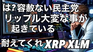 リップルXRP XLM耐えるんだ！ 容赦ない民主党と米国政府 [upl. by Wilbur]