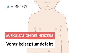 Ventrikelseptumdefekt  Auskultation des Herzens  Folge 11 [upl. by Bolen]