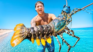 Catching Giant Lobsters For Food On Remote Island [upl. by Welford]