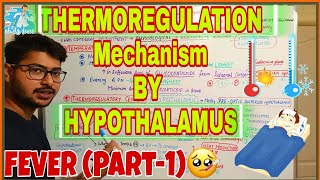 THERMOREGULATORY temperature regulationMECHANISM BY HYPOTHALAMUS  Fever part1 [upl. by Sami]