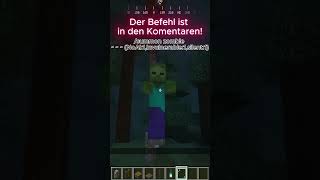 Der beste PrankJumpscare in Minecraft [upl. by Sucramd]