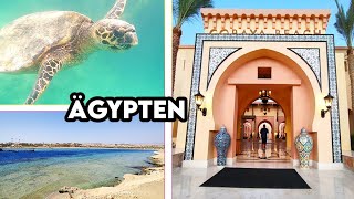 Lohnt sich Ägypten Unsere Erfahrungen im Steigenberger Resort amp Schnorcheln [upl. by Eiba]