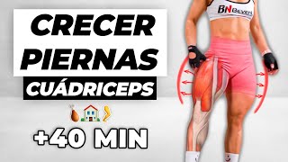 RUTINA EFECTIVA para PIERNAS CUÁDRICEPS en CASA 🍗 Rutina en Tiempo Real [upl. by Zere]