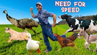 Whos the Fastest Animal on the Farm Educational Farm Video For Kids [upl. by Ytak]