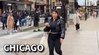 Friday Afternoon in Chicago ✨ Christmas Season Coming  November 15 2024  4k 60fps City Sounds [upl. by Saidee]