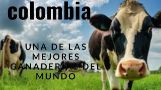 🔴🔥Ganadería colombiana claves de un sector fundamental🐄🐄 [upl. by Anyal713]