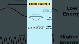 The Electromagnetic Spectrum  Visible Lights Radio Waves and Xrays [upl. by Nivlac571]