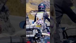 bike seat left for dog🐶 shortvideo [upl. by Nayve]