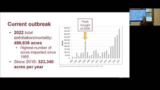 Understanding Spruce Budworm in Minnesotas Forests [upl. by Ardeen]