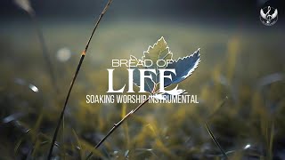 Bread of Life  Soaking Worship Instrumental  Prayer and Devotional [upl. by Etnor925]