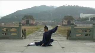 Wudang Five Animals Qi Gong 武当五行气功 [upl. by Bertero323]