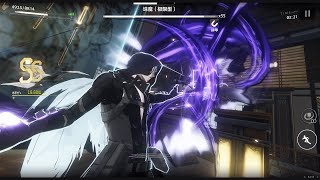 Punishing Gray Raven  Camu solo Counter amp Execution [upl. by Albarran140]