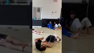 Clean Belly Down Ankle Lock bjj [upl. by Nerty]