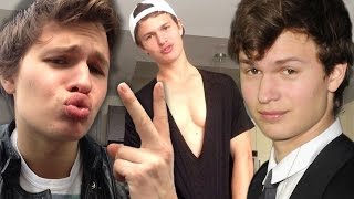 7 Times Ansel Elgort Made the Internet SWOON [upl. by Enelia]