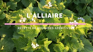 Alliaire en bouchées apéro [upl. by Meredith]