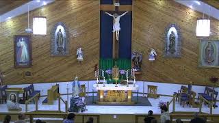 Holy Cross Catholic Church Live Stream [upl. by Nlycaj]