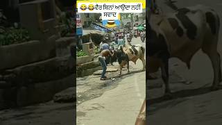 2 2 Asle  Arjan Dhillon New Song punjabisongs arjandhillon roadsafety bullfight funnyvideo 😂😂 [upl. by Belsky]