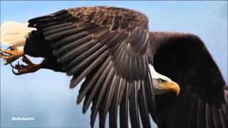 Wayanay Inka  Eagle Pass HD HQ [upl. by Sonahpets]