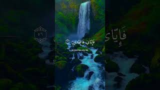 Very beautiful voice in the world 💖💖 Heart touching 💟👌quranrecitation share [upl. by Enileve]