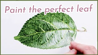 How to paint realistic luscious leaves in watercolour with Anna Mason [upl. by Kostival619]