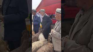 A large bazaar in Xinjiang China Living conditions of Uighurs in Xinjiang [upl. by Mat]