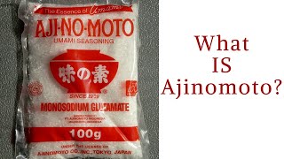 What is Ajinomoto  Ajinomoto Salt  Ajinomoto Side Effects  What is Ajinomoto Made of [upl. by Atinauq514]