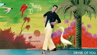 Pokey LaFarge  quotDrink of Youquot Official Audio [upl. by Wagstaff]