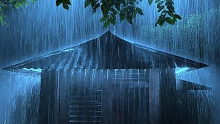 Heavy Rain and Thunder for Sleeping amp Insomnia Relief  Rain on Roof for Relaxing Studying ASMR [upl. by Saleem]