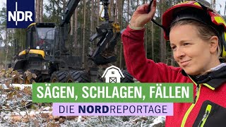 Sägen Schlagen Fällen  Mit großen Maschinen durch die Holzernte  Die Nordreportage  NDR [upl. by Hirza]