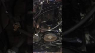 Winnebago Lesharo 88 cylinder problem [upl. by Severson]