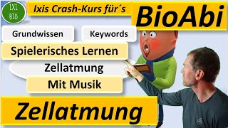 Zellatmung Keywords und Grundwissen spielerisch mit Musik lernen Schlüsselwortmethode BioAbi [upl. by Mirella105]