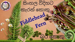 How to make Fiddlehead Fern  Keran Koku  සිංහල තාලෙට කැරන් කොකු  බර කොකු  Blechnum Orientale [upl. by Nord]