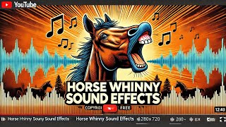 Horse Whinny Sound Effects With Drawing [upl. by Joshia636]